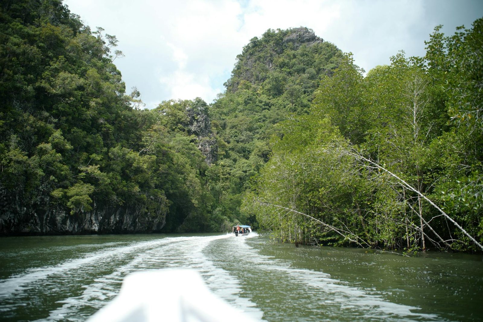 Kilim Karst Geoforest Park